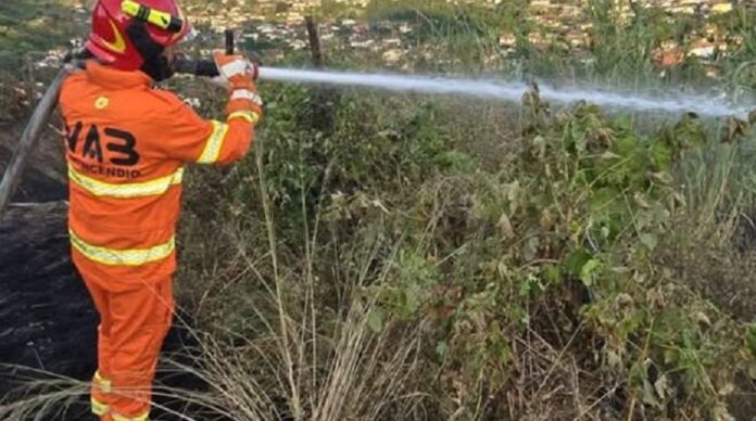 vab-incendio-colline-candia-romagnano-68025.660x368