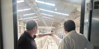 An unparalleled record: 2025 is recorded in the history of Brazilian natural stone exports