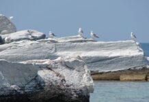 The Renowned and Sculpted Greek White Marble