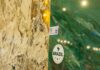 Brazilian natural stones target new opportunities in the European market during program in Brussels